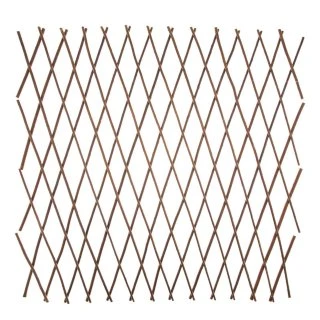 Expanding Willow Trellis 3 Expanding Willow Trellis