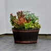 B&M Oakwood Barrel Planter 50cm 1 B&M Oakwood Barrel Planter 50cm -Garden Furniture 291239 oakwood barrel planter 50cm