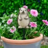 B&M Carved Wood Effect Garden Plant Pot Stick - Hedgehog 2 B&M Carved Wood Effect Garden Plant Pot Stick - Hedgehog -Garden Furniture 379521 wood animal pot sticks hedgehog