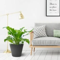 B&M Octavia Planter 38cm - Pewter 7 B&M Octavia Planter 38cm - Pewter -Garden Furniture 383772 octavia planter slate pewter 38cm 1