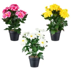 B&M Zinnia Plant Pot - Yellow -Garden Furniture 392826 zinnia in pot group