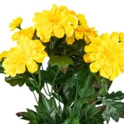 B&M Zinnia Plant Pot - Yellow -Garden Furniture 392826 zinnia in pot yellow 2