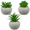B&M Assorted Small Concrete Succulents 1 B&M Assorted Small Concrete Succulents -Garden Furniture 394713 small concrete succulent group